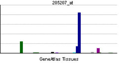 PBB GE IL6 205207 at.png
