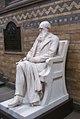 Natural History Museum - Charles Darwin.jpg