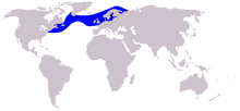 Cetacea range map Atlantic White-sided Dolphin.PNG