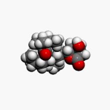 Simvastatin3Dan.gif