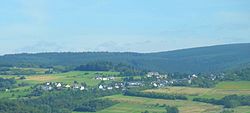 Holzerath 2010.jpg