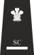 Gwent SSgt.svg