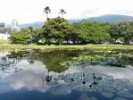 6.Caracas botanical garden jardin botanico ucv venezuela.png