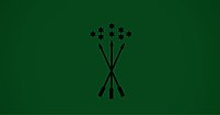 Old flag of Circassia used in 1840.jpeg
