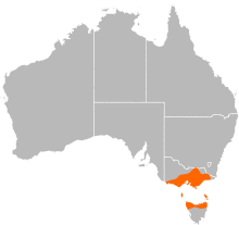 Engaeus distribution.svg