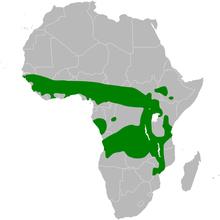 Melocichla mentalis distribution map.png