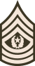 Army-USA-OR-09b (Army greens).svg