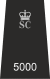 Leicestershire SC.svg