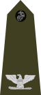 US Marine O6 shoulderboard vertical.svg