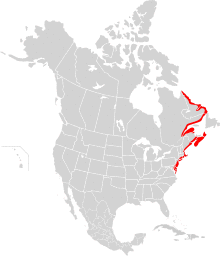 Camptorhynchus labradorius map.svg