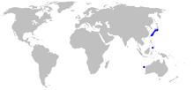 Etmopterus brachyurus distmap.png