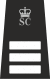 SCI with Crown.svg