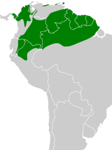 Ceratopipra erythrocephala map.svg