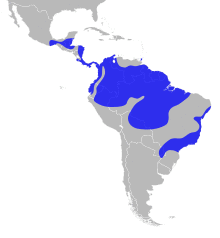 Manacus distribution.svg