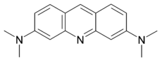 Acridine orange