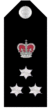 Wa-police-commander.png