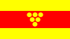 Flag of Negotino