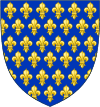France Ancient Arms.svg