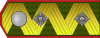 ROA-General h.svg