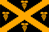 Flag of Wijnegem