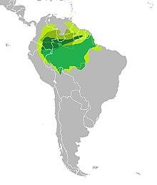 Distribution of Hevea sp.jpg