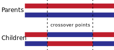 TwoPointCrossover.svg