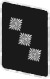 NSKK-Sturmführer.svg