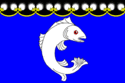 Flag of Suoyarvi