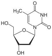 Skeletal formula of thymidine