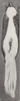 Revision of the skunks of the genus Chincha (1901) pl. 2 M. m. estor.png