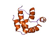 PDB 1a1z EBI.jpg