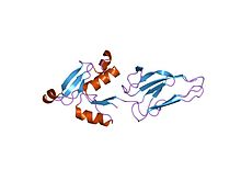 PDB 1e5u EBI.jpg