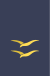 Cadete de Segunda EA.svg