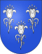 Coat of arms of Chancy