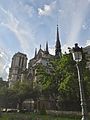 Paris Notre Dame19042017.jpg