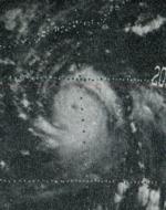 MargeSep1973.gif