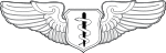 United States Air Force Flight Surgeon Badge.svg
