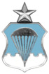 USAF Senior Parachutist Badge-Historical.png