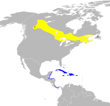 Dendroica tigrina map.svg