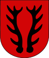 Coat of arms of Szlichtyngowa