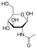 Haworth projection of N-Acetylglucosamine.svg