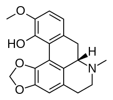 Bulbocapnine skeletal.svg