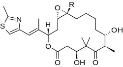 Epothilones A (R = H) and B (R = Me)