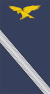 Portugal-AirForce-OF-(D).svg