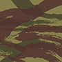 French lizard pattern camo.jpg