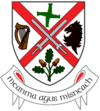Coat of arms of County Kildare