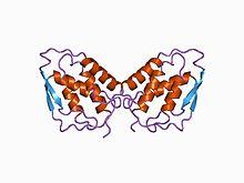 PDB 1csg EBI.jpg