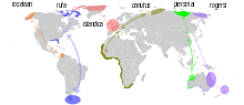 RedKnotMigration.svg