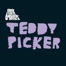 TeddyPickerArcticMonkeys.jpg