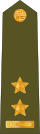 CzArmy 2011 OF4-Podplukovnik shoulder.svg